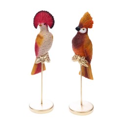 Oiseau Huppe Orange 