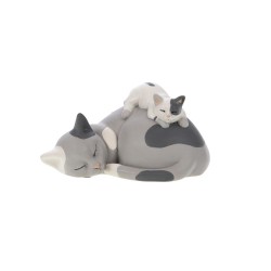 Chat maman et bébé dormeur 