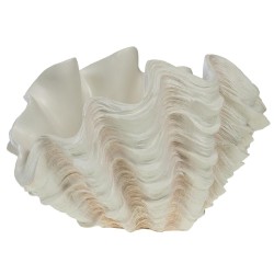 Coupe Coquillage Benitier XXL 