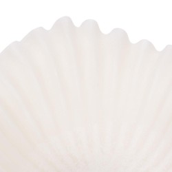 Coupe Alizée petit modèle 