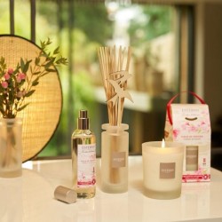 Recharge bouquet parfumé fleurs de cerisier 250 ml 