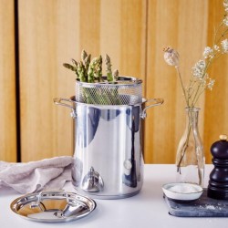 Chef cuiseur Asperges 4 litres