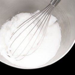 Fouet Profi Plus 25 cm