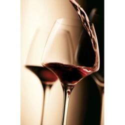 Verre à pied Pro tasting Open up 32 cl (lot de 6)