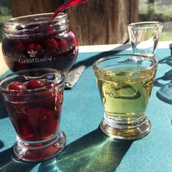 Verre à shooter Abeille 6 cl (lot de 6)