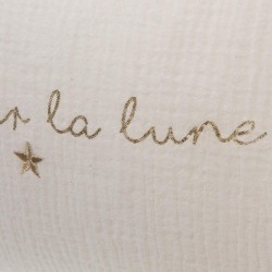 COUSSIN LES ETOILES 2ASS40X60 -  (lot de 2)