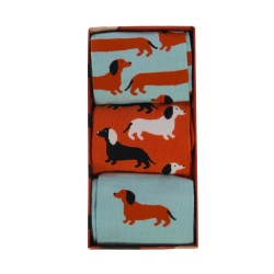Coffret de 3 paires de chaussettes Tekel