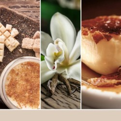Moyenne bougie Crème brulée à la vanille