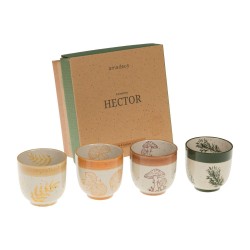 Coffret 4 tasses Expresso Hector