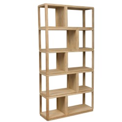 Bibliothèque Salomon 