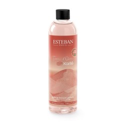 Recharge pour bouquet Terre...