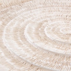 Coupe coquille 33,5 cm