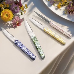 Coffret de 4 couteaux de table joseph nanocut multicolore