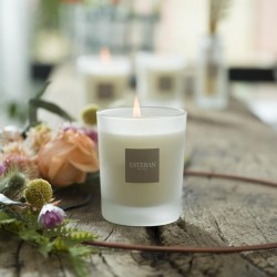 Bougie parfumée Ambre et Baumes rechargeable 180g