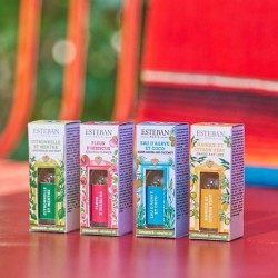 Concentré de parfum Mangue et citron vert 15ml