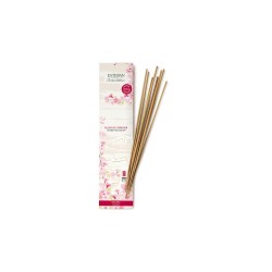 Encens indiens 20 bâtonnets...