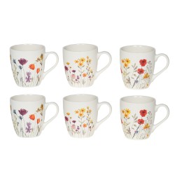 Coffret de 6 tasses  IRIS...