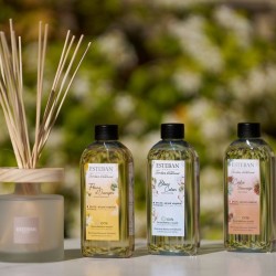 Recharge pour bouquet parfumé Ambre et Baumes 200ml