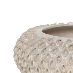 Coupe kailua 23x29 cm