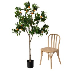 Oranger pot H180 cm