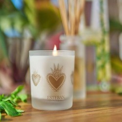 Bougie parfumée Citronnelle & Menthe rechargeable 180g