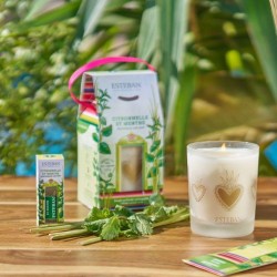 Concentré de parfum Citronnelle & Menthe 15 ml