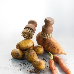 Brosse à légumes revio