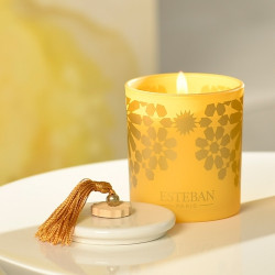 Bougie décorative parfumée rechargeable ambre 170 g