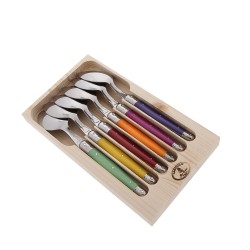 Coffret de 6 cuillères de table laguiole irise assorties