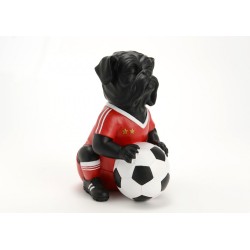 Chien footballeur