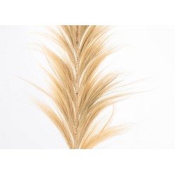 Plume en Abaca Naturel