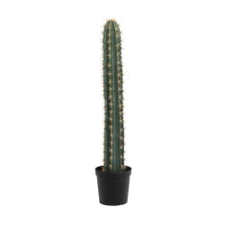 Cactus cierge en pot 104 cm