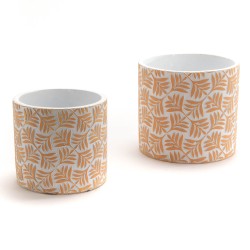 Cache pot Mimosa petit modèle