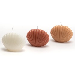 Bougie coquillage Terra (lot de 8)
