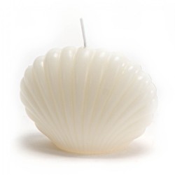 Bougie coquillage crème...