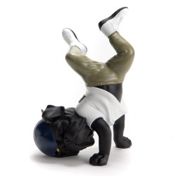 Chien breakdance