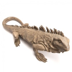Iguane Colorado 95 cm