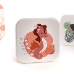 Boites à gouter Venus