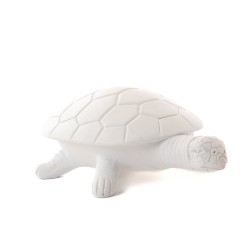 Tortue Blanche