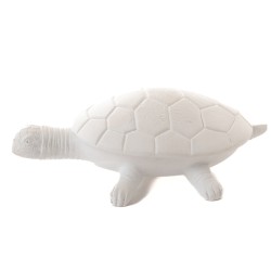 Tortue Blanche
