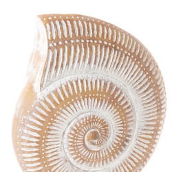 Coquillage sur socle 48 cm