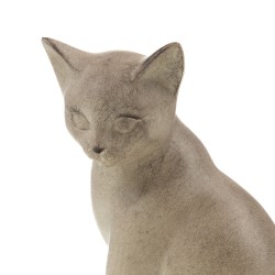 Chat assis naturel