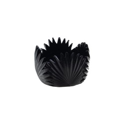 Coupe Tropical noire 15 cm