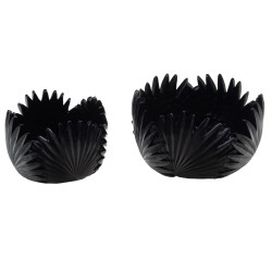 Coupe Tropical noire 15 cm