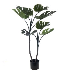 Monstera en pot 130