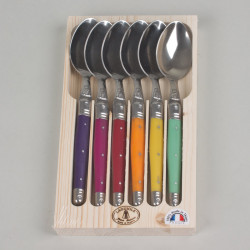 Coffret de 6 cuillères de table laguiole irise assorties