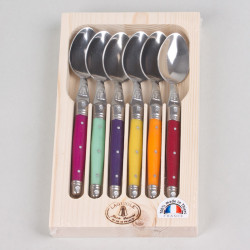 Coffret 6 cuillères à café laguiole irisées assorties