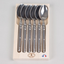 Coffret 6 cuillères de table Laguiole en inox