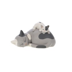 Chat maman et bébé dormeur