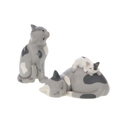 Chat maman et bébé dormeur